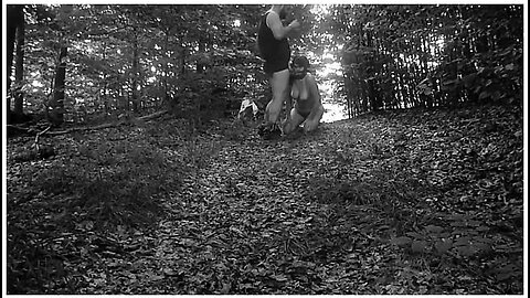 Pet Girl Obedience Training